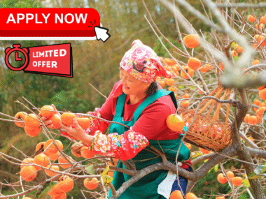 fruit picking jobs