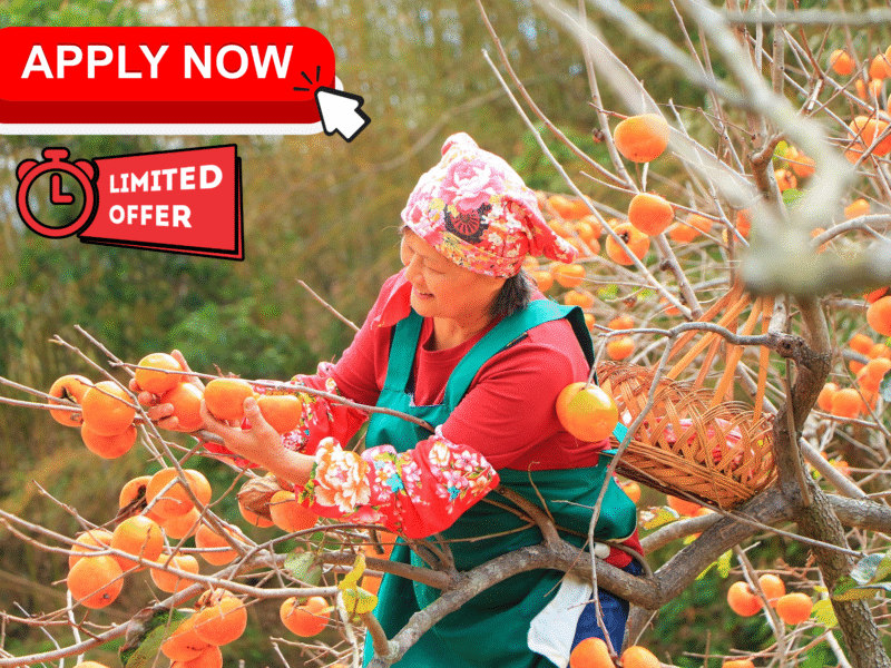 fruit picking jobs