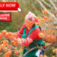 fruit picking jobs